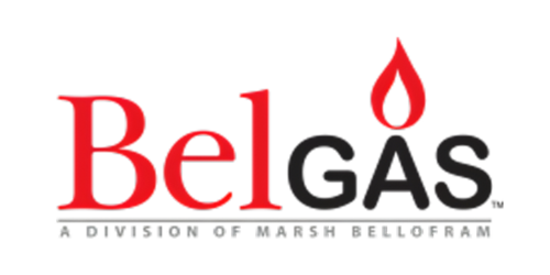 BelGAS - IES Authorized Partner